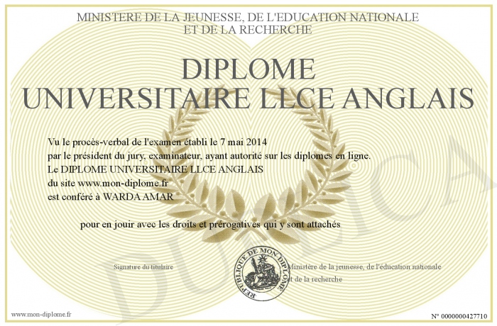 diplome universitaire en anglais